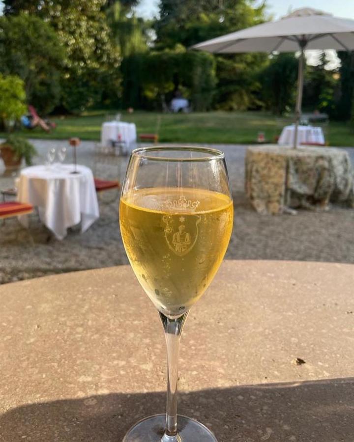 Villa Biondelli Wine & Suites Cazzago San Martino エクステリア 写真